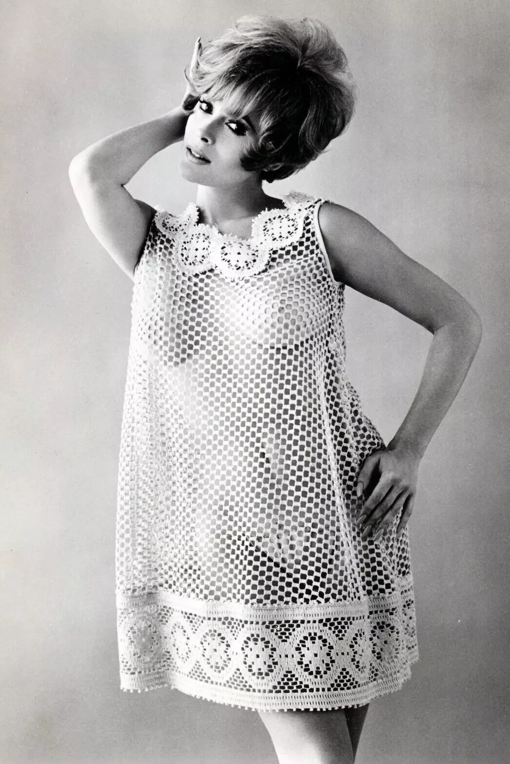 C513 ACTRESS JILL ST. JOHN  Photo, Magnet, Decal, Poster, Sign