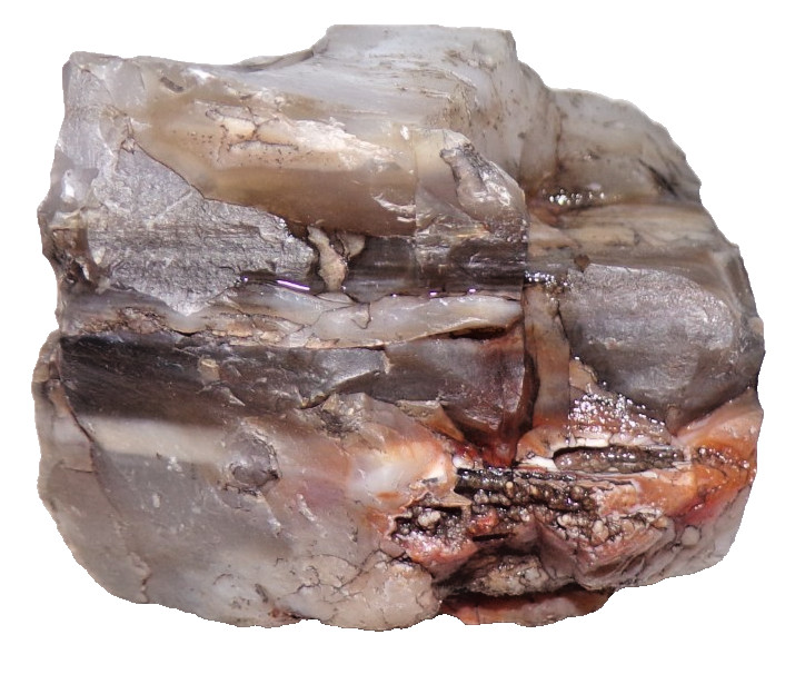 Prehistoric Paleo-American Petrified Wood Stone Multi Tool Northern AZ 288