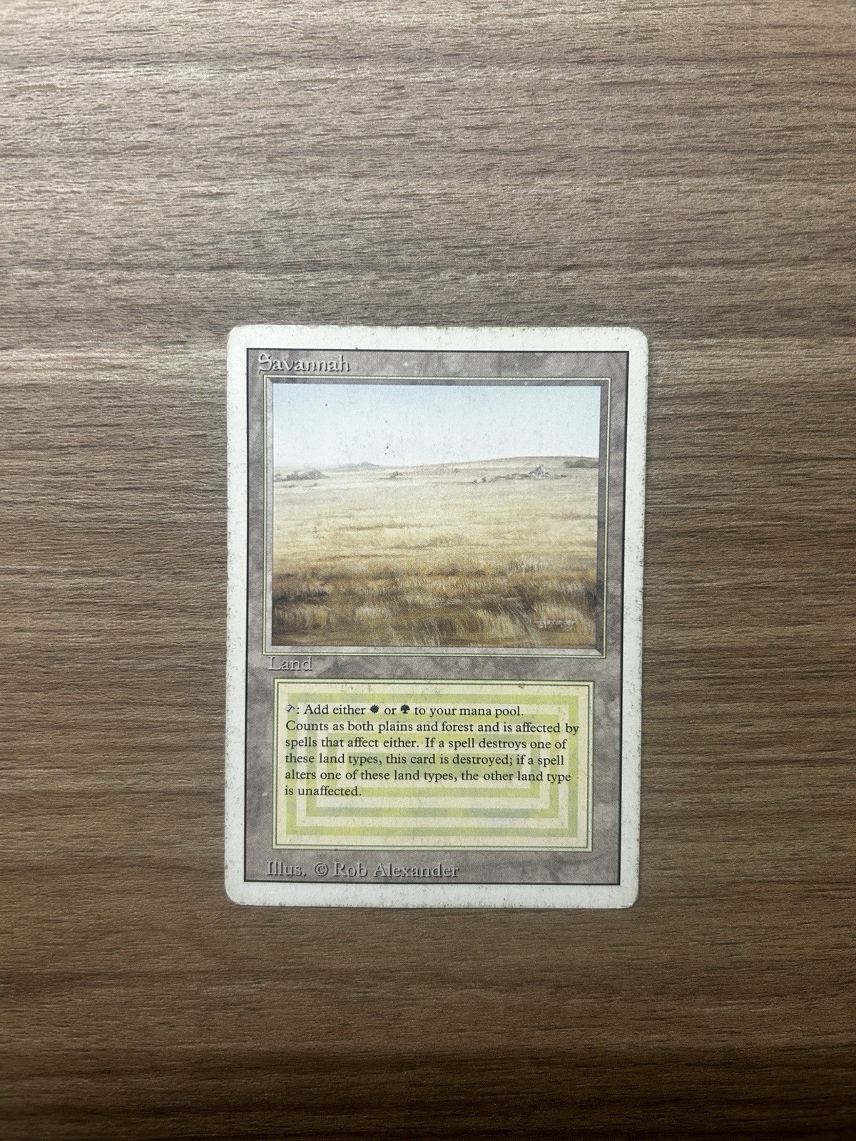 SAVANNAH REVISED DUAL LAND MTG MAGIC the Gathering