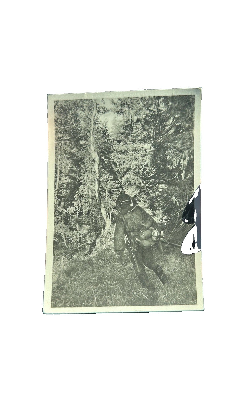 Mint Germany WW2 RPPC Postcard Waffen SS Nord Division “Angriff im Urwald”