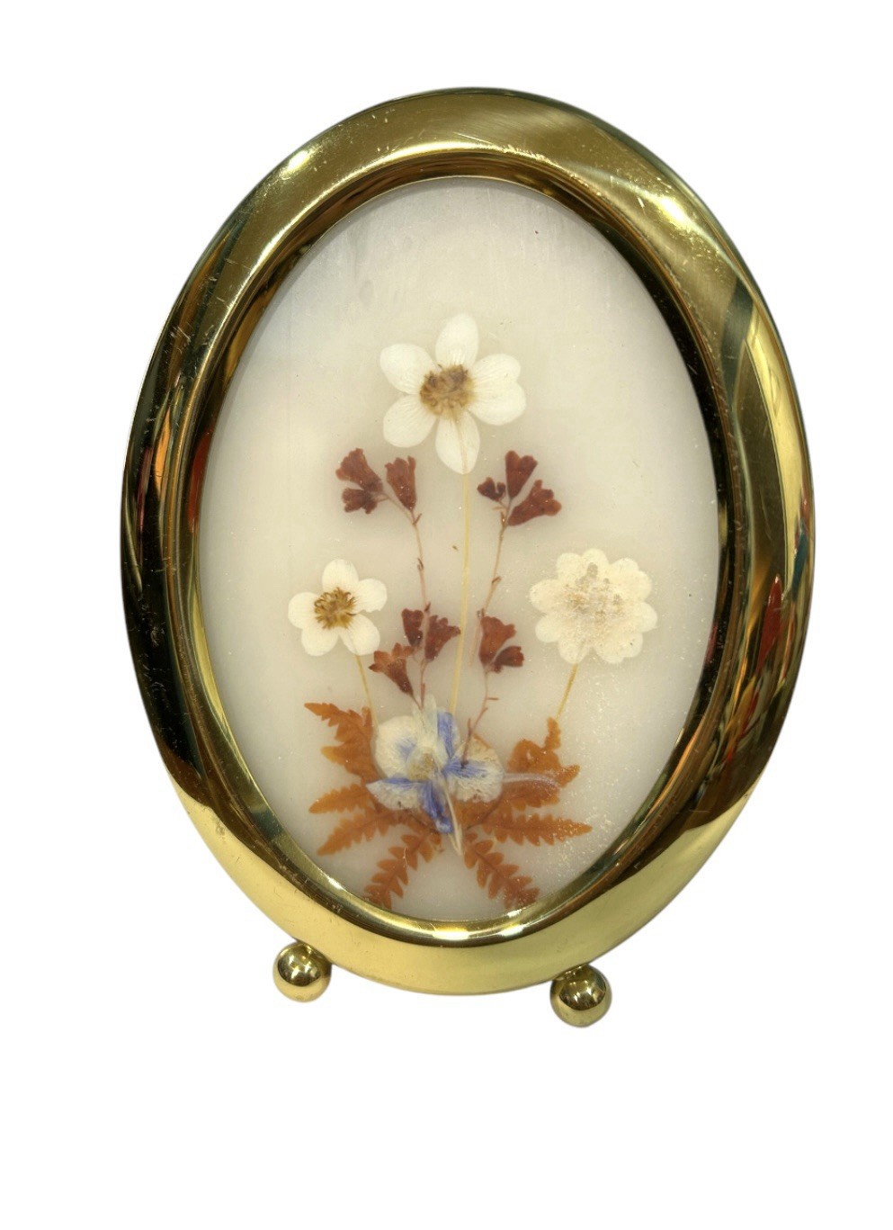 Vintage Oval Framed oval gold tone frame CottageCore Pressed Dry Flowers daisy