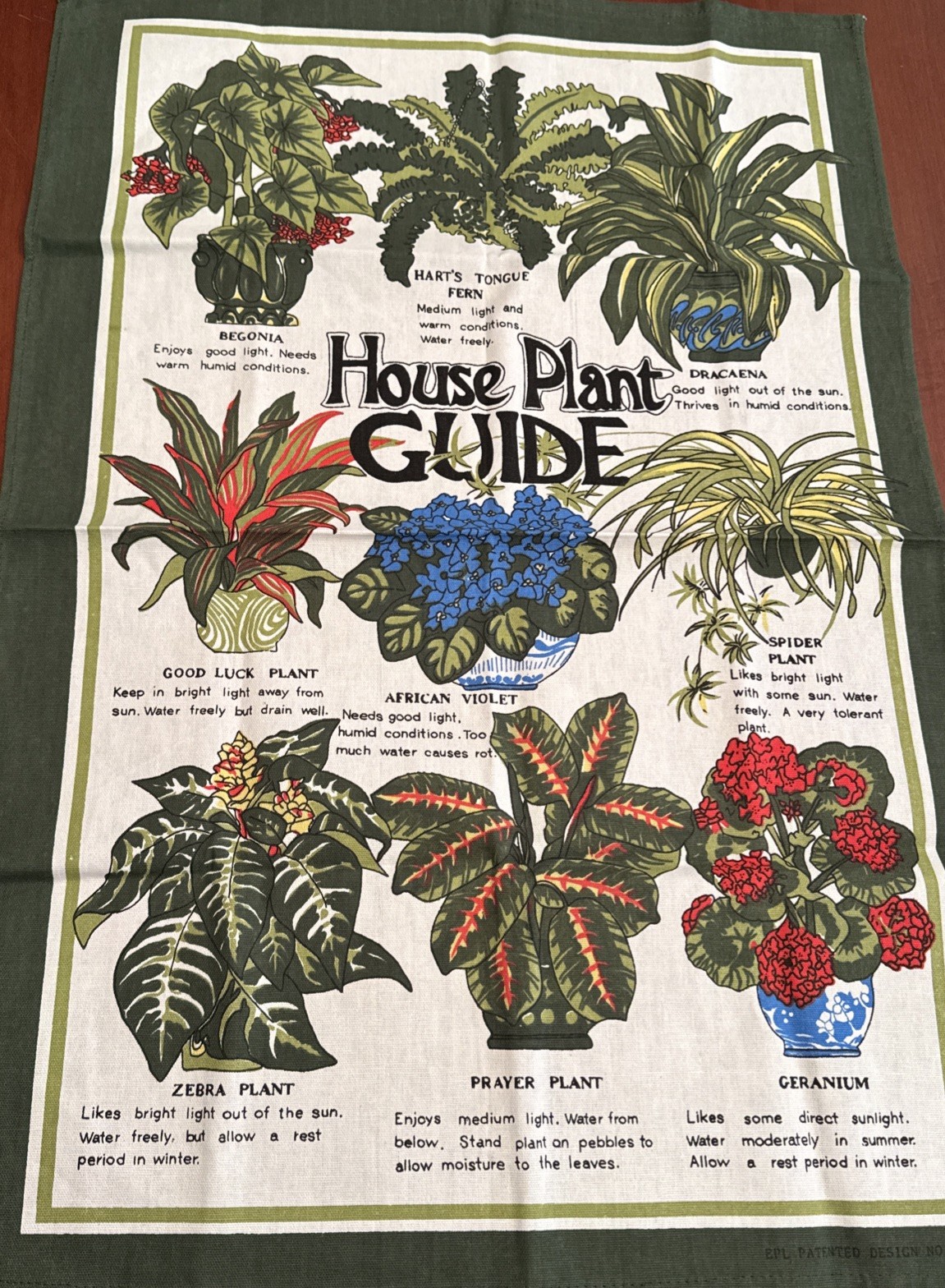 EPL Vintage Kitchen Tea Towel T-124 House Plant Guide 20x30 Cotton Unused