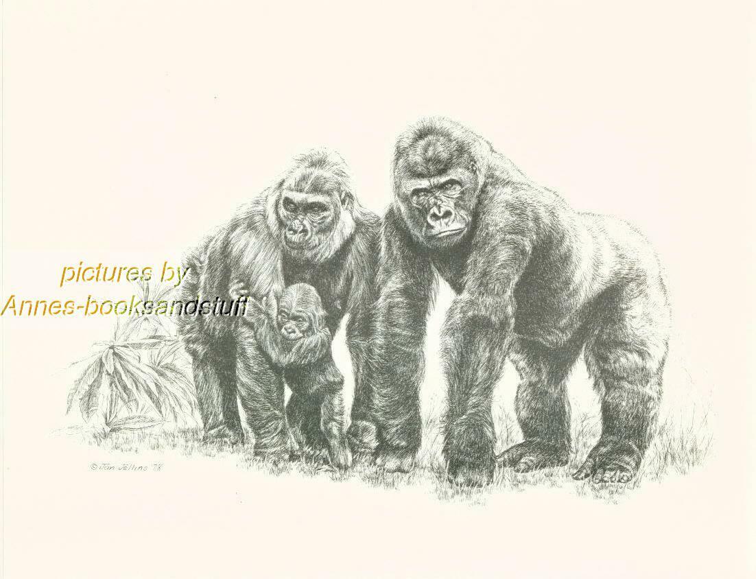 #181 GORILLA FAMILY wild life art print  * Pen and ink drawing by Jan Jellins