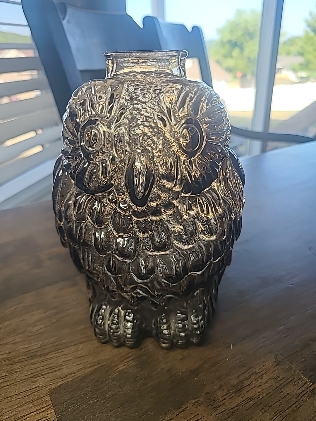 Vintage Glass Wise Old Owl Bank Clear Embossed Piggy Bank Retro