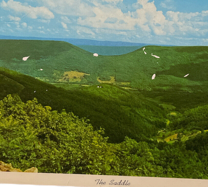 The Saddle Allegheny Front West Virginia Postcard 1960s Vintage