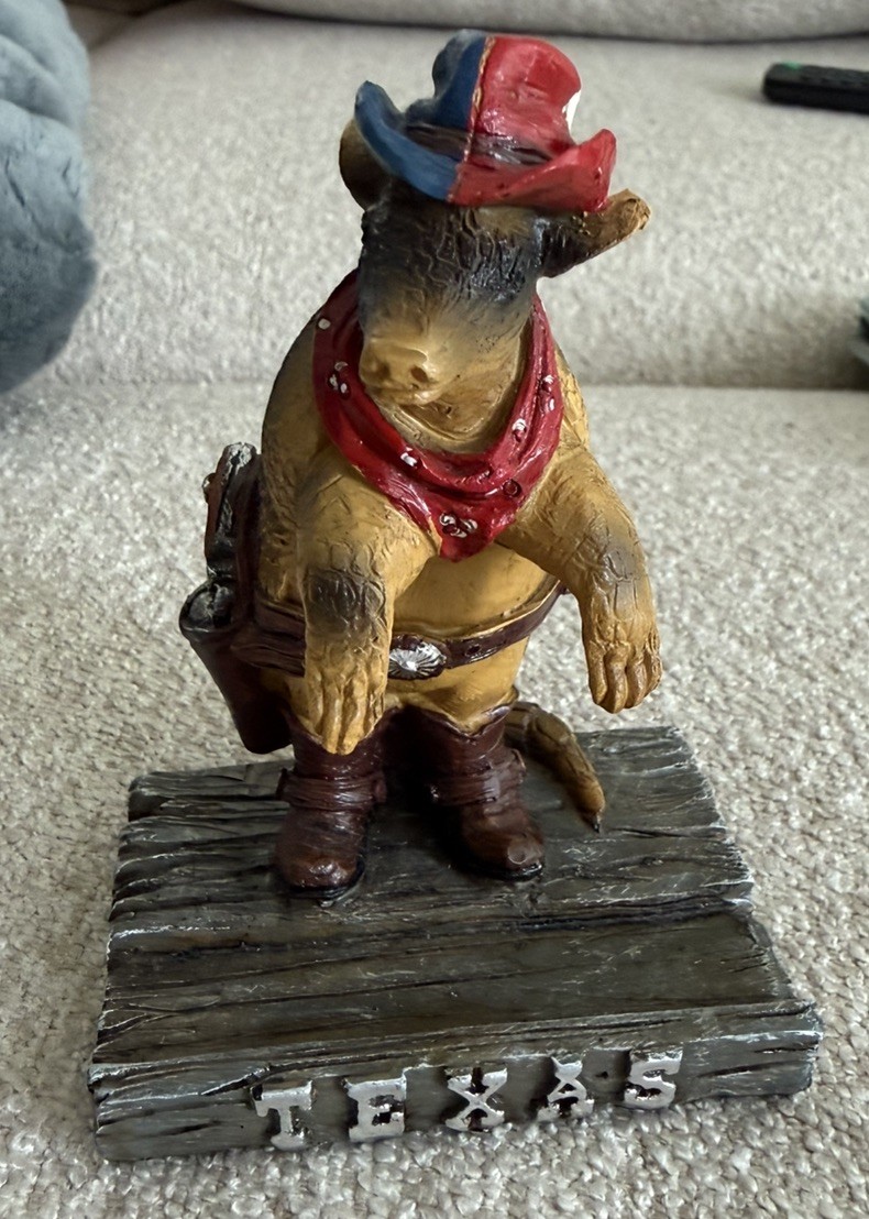 Texas Cowboy Armadillo Statue Souvenir Great Condition