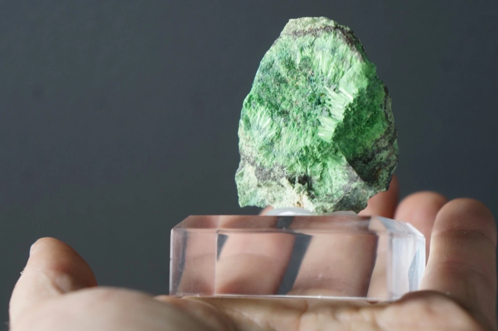 Extremely Rare Cuprosklo dowskite Musonoi Mine, Congo Mineral Specimen Minerals