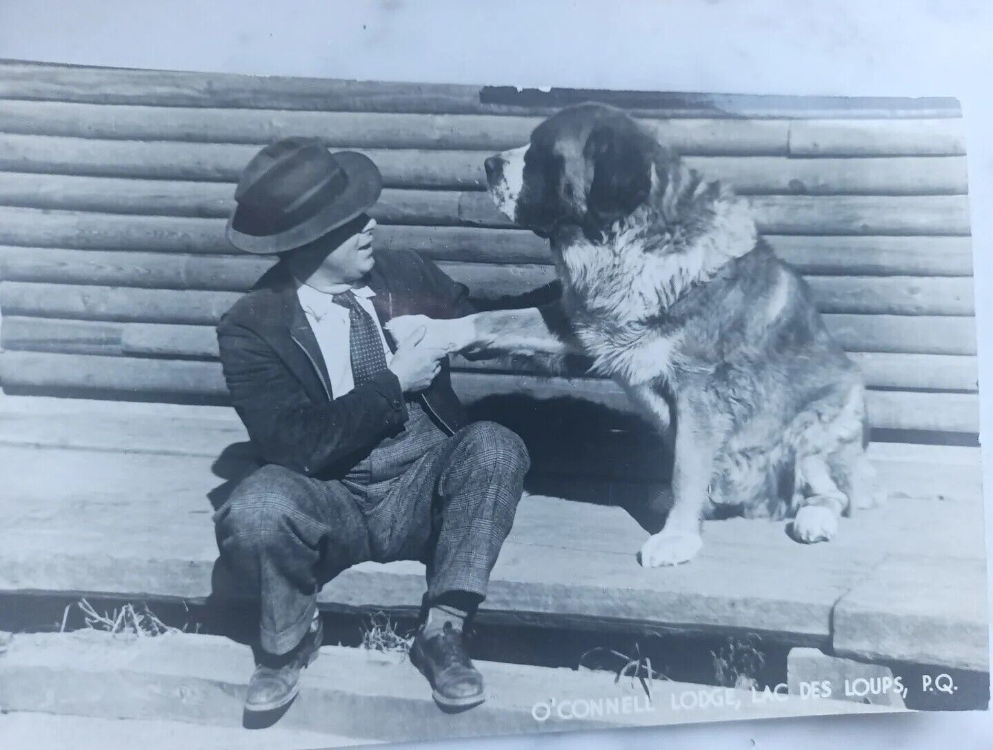 RPPC Giant St Bernard shaking hands with his man postcard a47