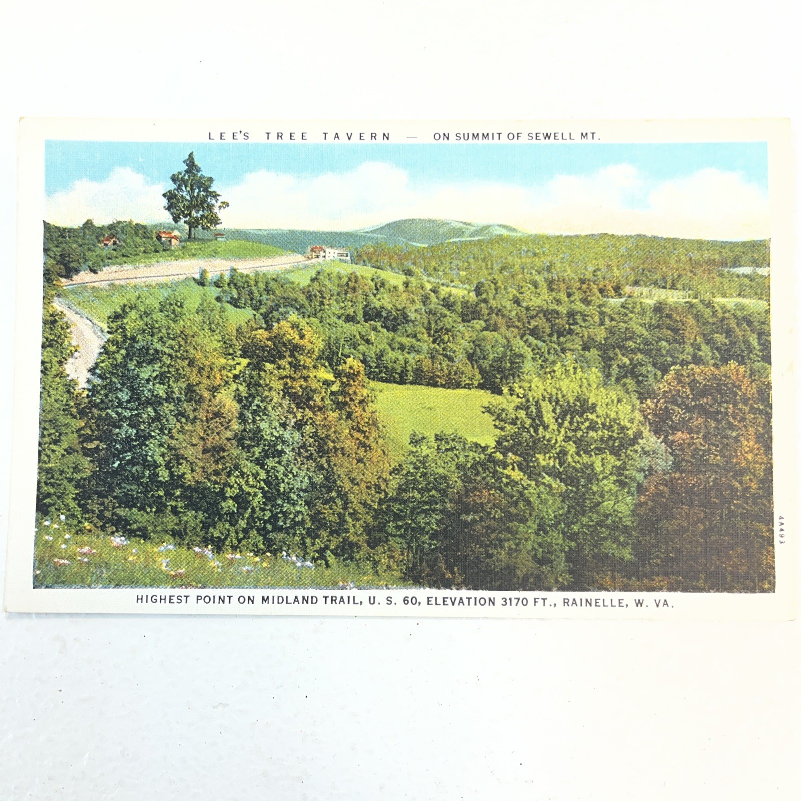 Rainelle, WV: Lee's Tree Tavern Sewell Mt. vintage West Virginia Postcard Rainelle, WV: Lee's Tree Tavern Sewell Mt. vintage West Virginia Postcard