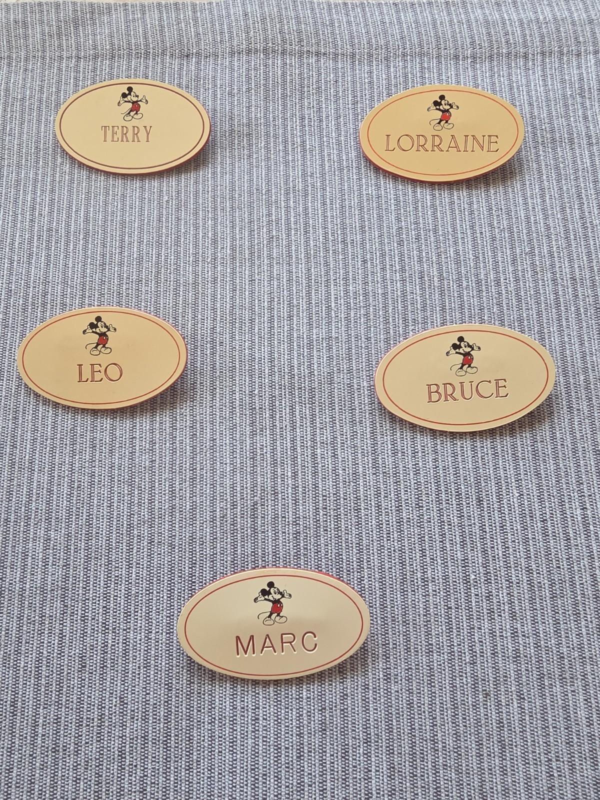 Set Of 5 Disneyland Cast Member Badges (Terry, Lorraine, Leo, Bruce, Marc)