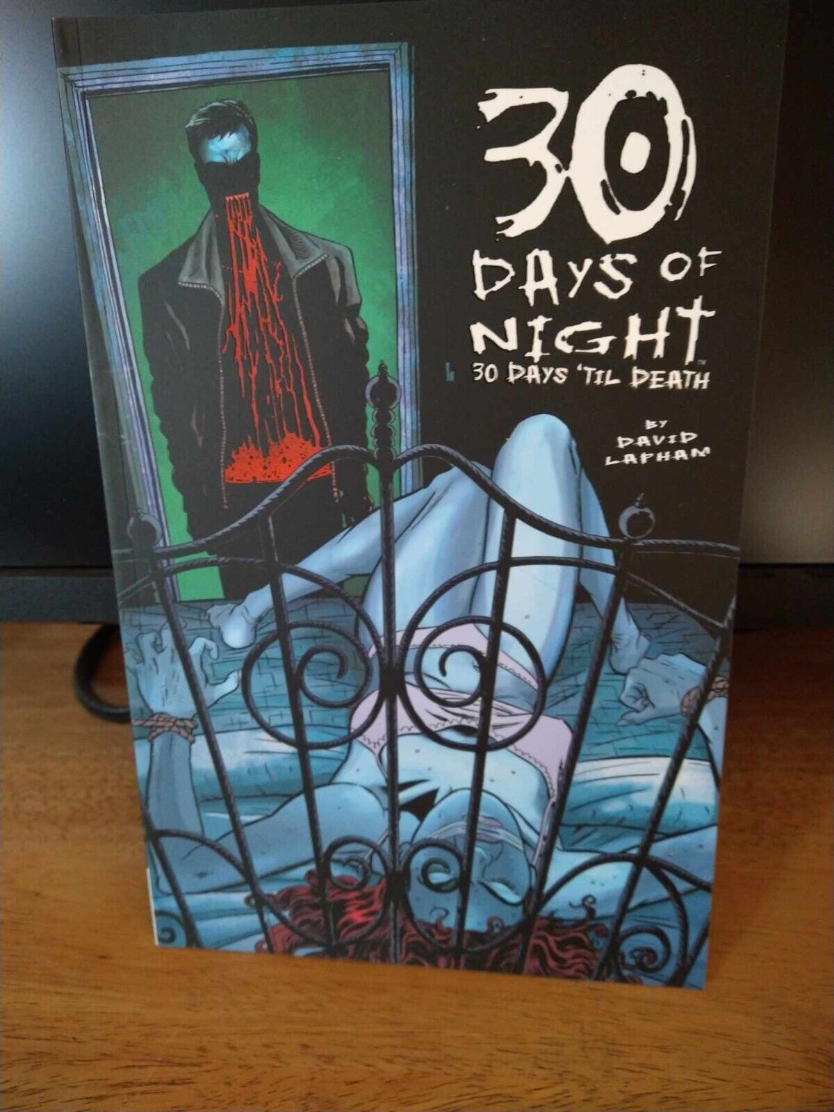 30 Days of Night 30 Days Til Death Graphic Novel Trade paperback IDW Comics