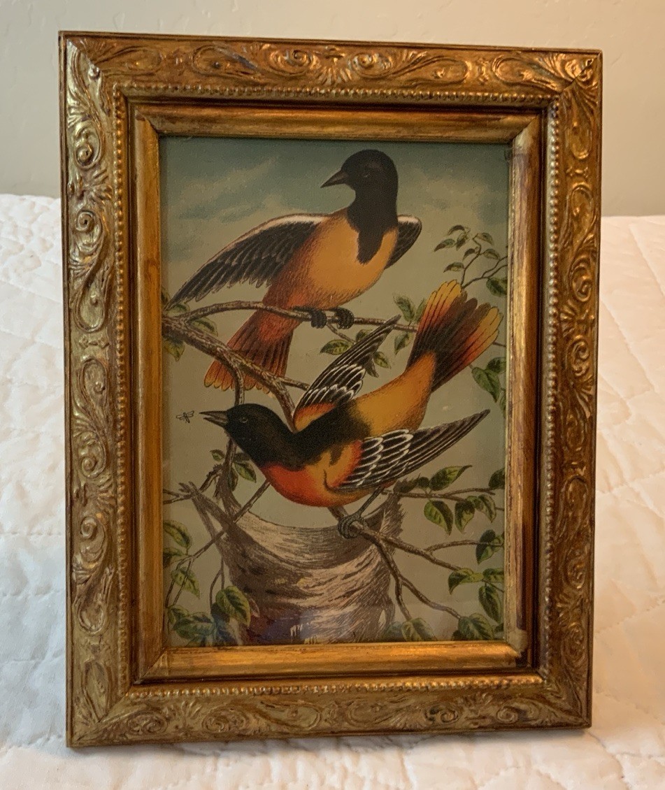 Vintage Antique Victorian Ephemera Framed, Lithograph Print, Birds With Nest