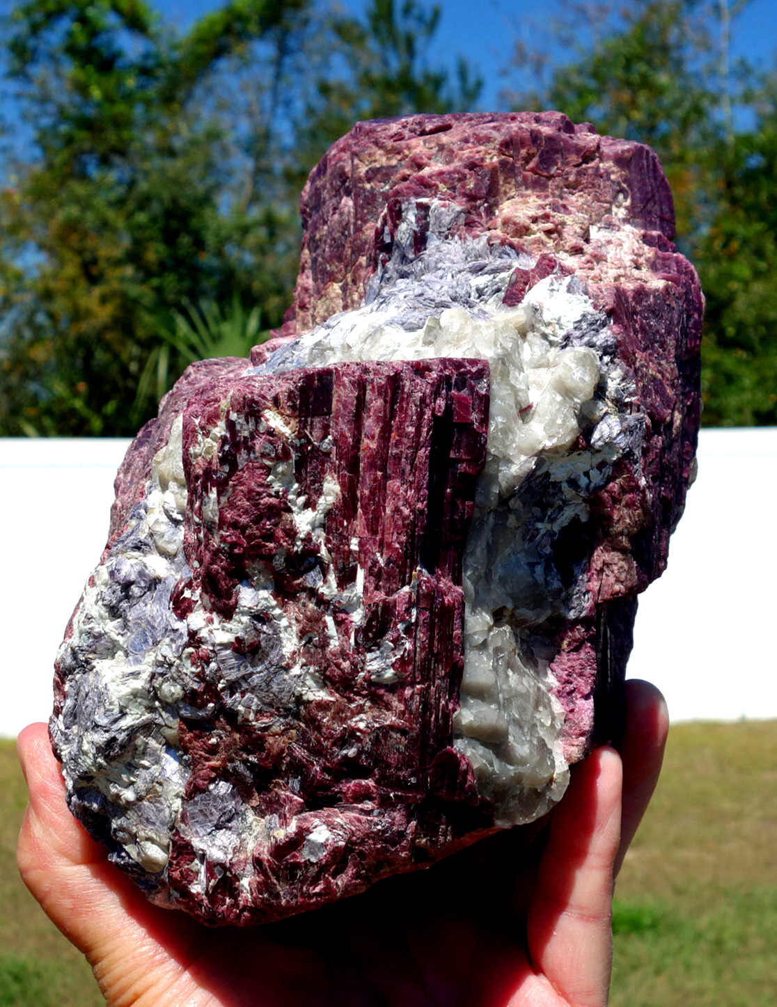 Pink TOURMALINE Red Rubellite Quartz Crystal with Lithium & Mica Natural XL Size