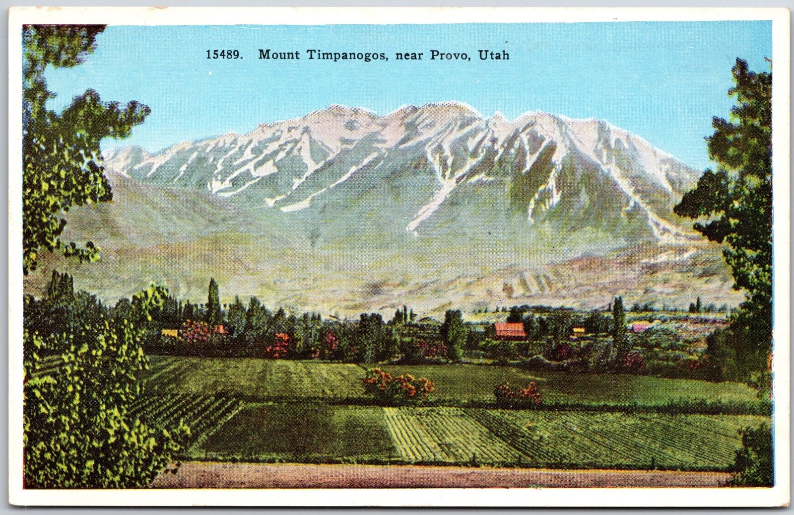 Mount Timpanogos near Provo Utah UT Farm Fields Mountain Postcard