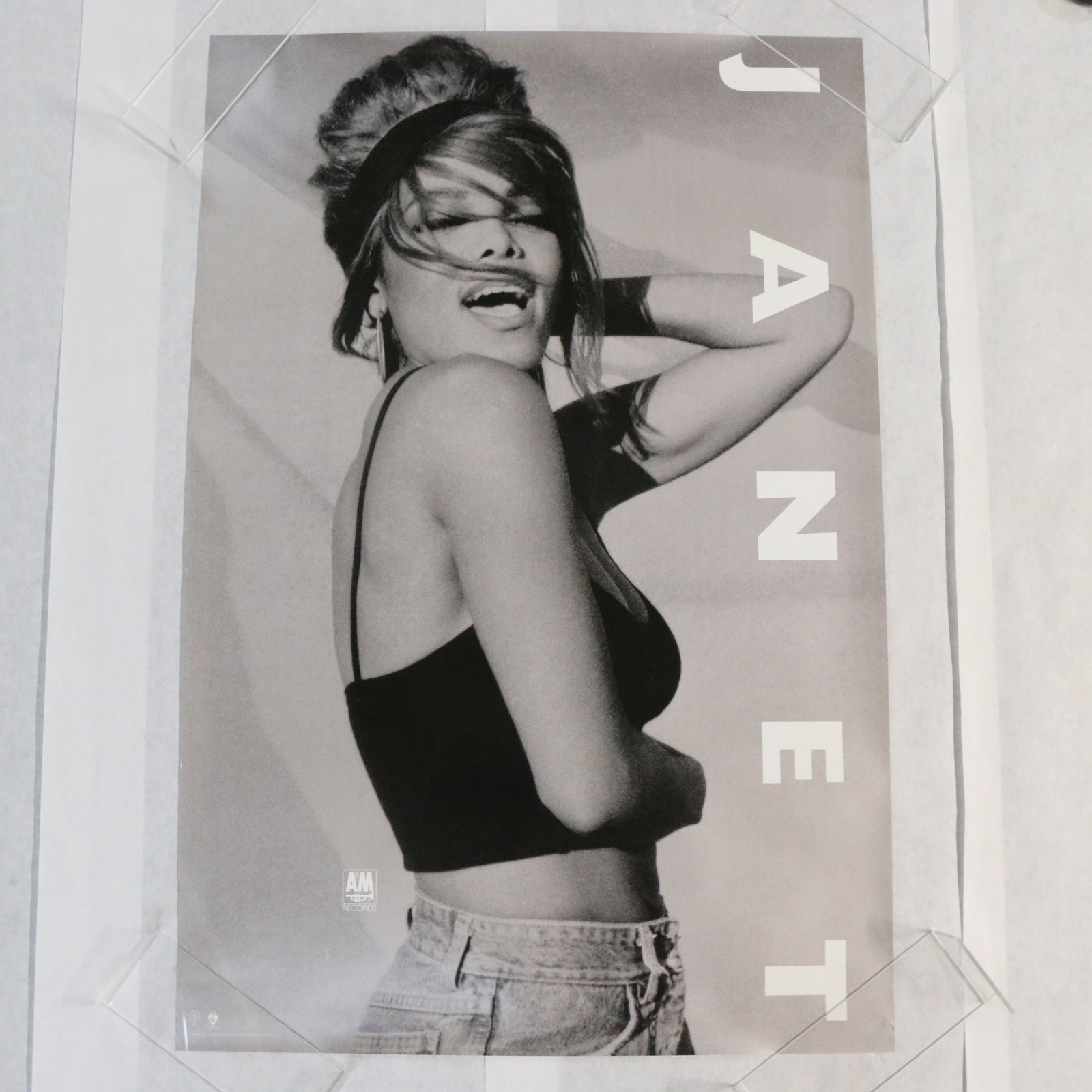 Janet Jackson 24