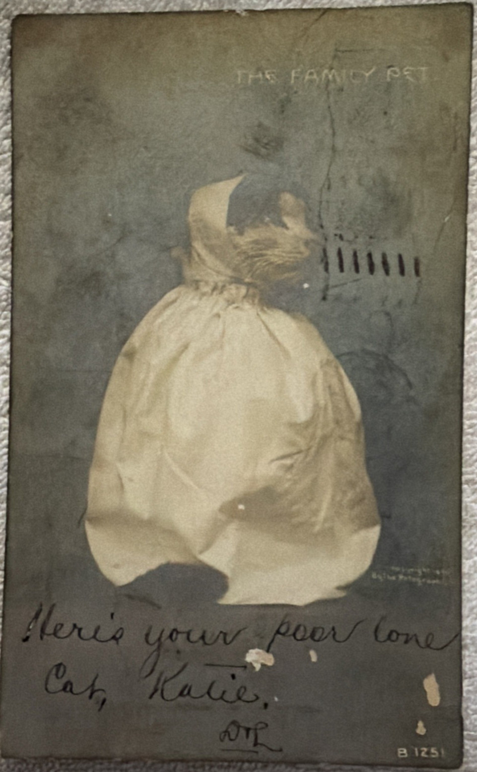 Antique 1906 Rotograph Cat Postcard Dressed Kitty Bonnet Gown UDB The Family Pet Antique 1906 Rotograph Cat Postcard Dressed Kitty Bonnet Gown UDB The Family Pet