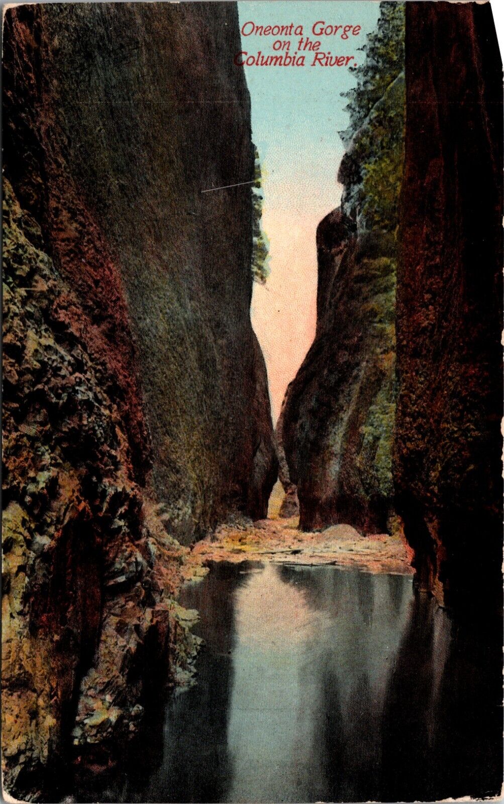 Oneonta Gorge On Columbia River Oregon OR Vintage Postcard L2