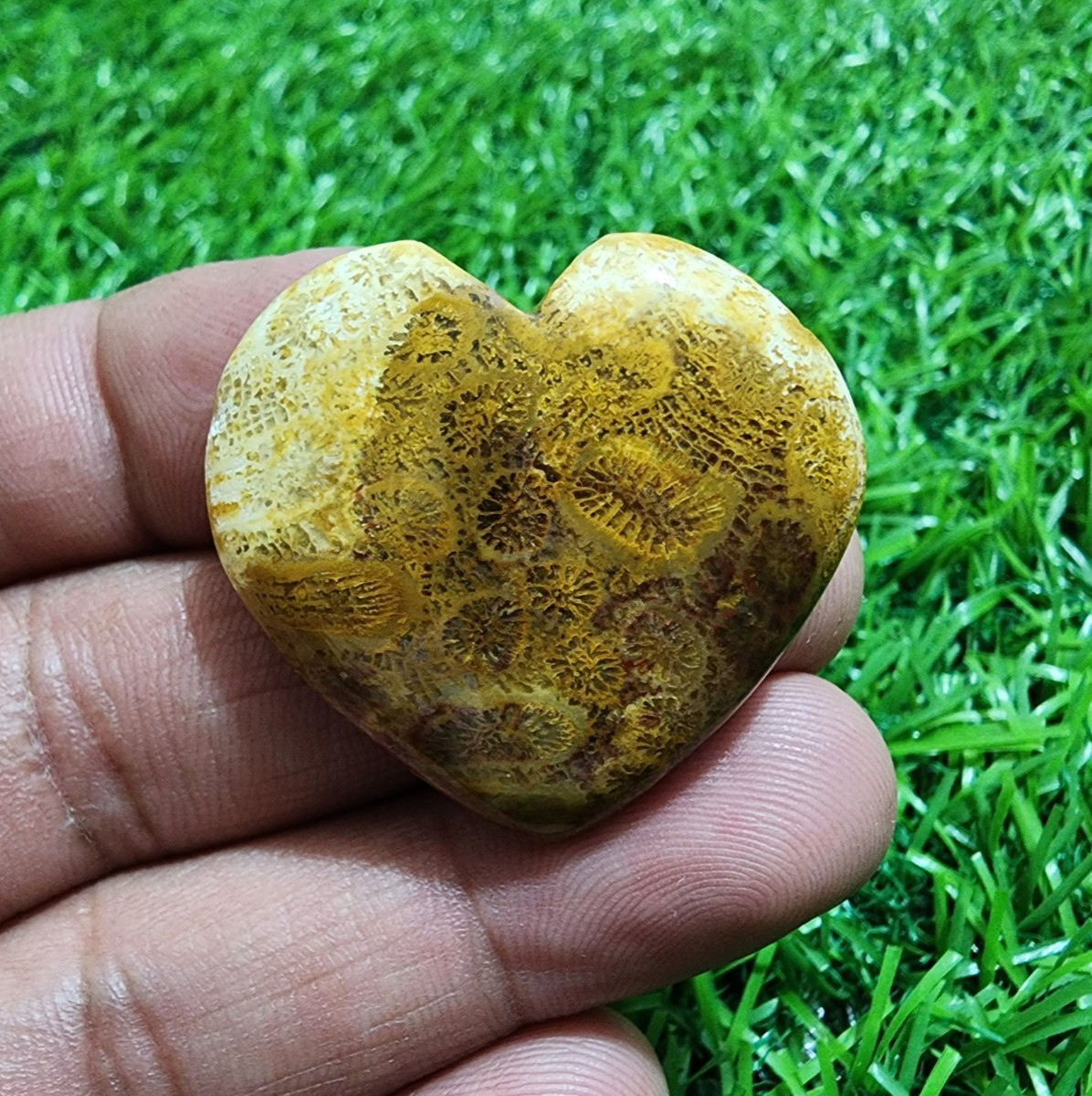 Attractive Picture Jasper Heart Shape Cabochon 56.50 Crt Loose Gemstone Jewelry