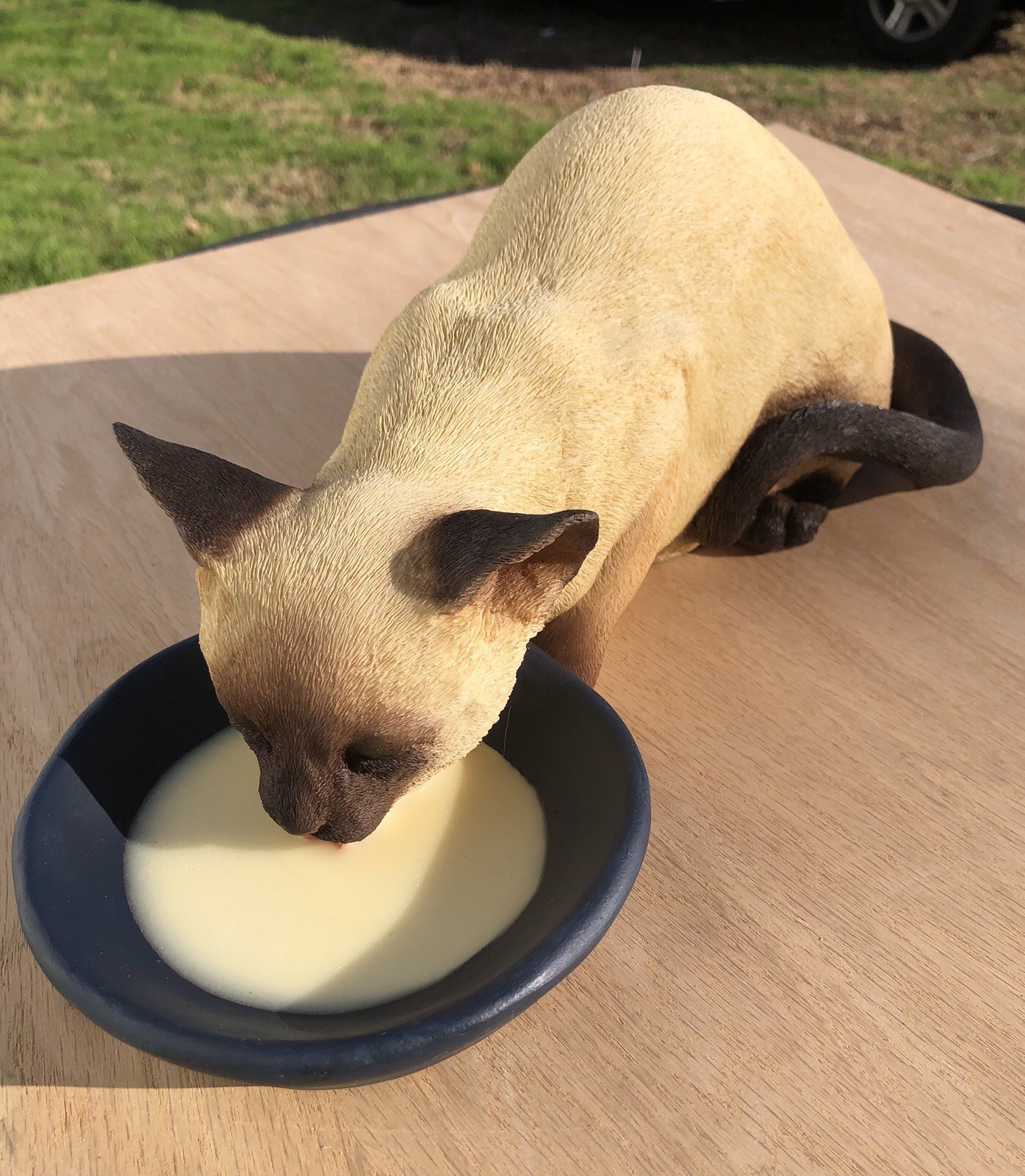 Vintage Collectable ,Rare Siamese Cat Drinking Milk Lifesize Figure CC-386 Vintage Collectable ,Rare Siamese Cat Drinking Milk Lifesize Figure CC-386