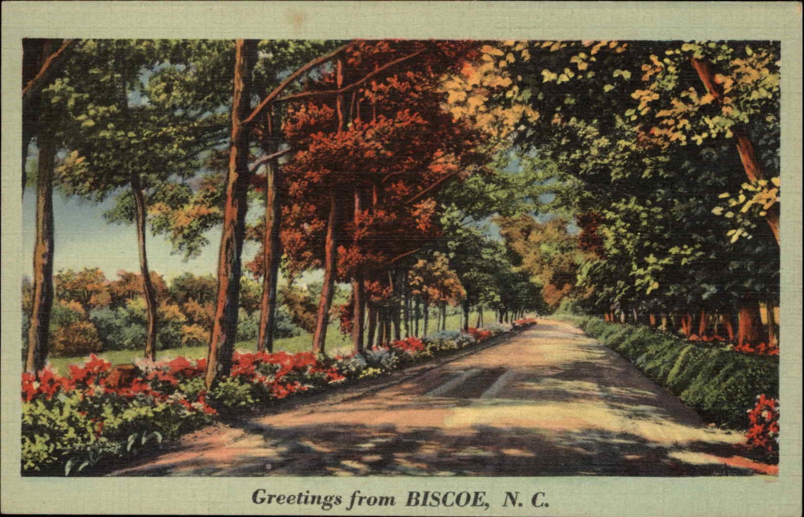 Biscoe NC North Carolina Tree Lined Roadway c1930-40s Vintage Postcard
