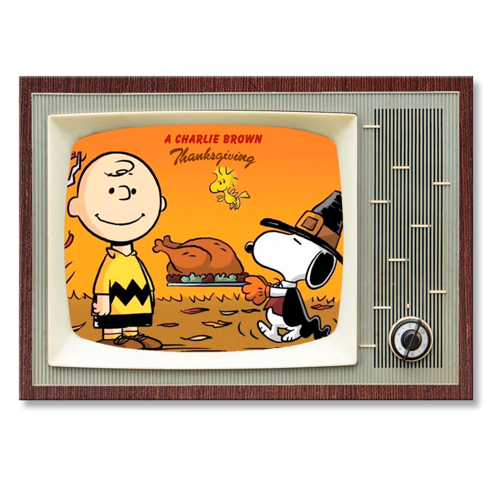 A CHARLIE BROWN THANKSGIVING Retro Classic TV 3.5 \