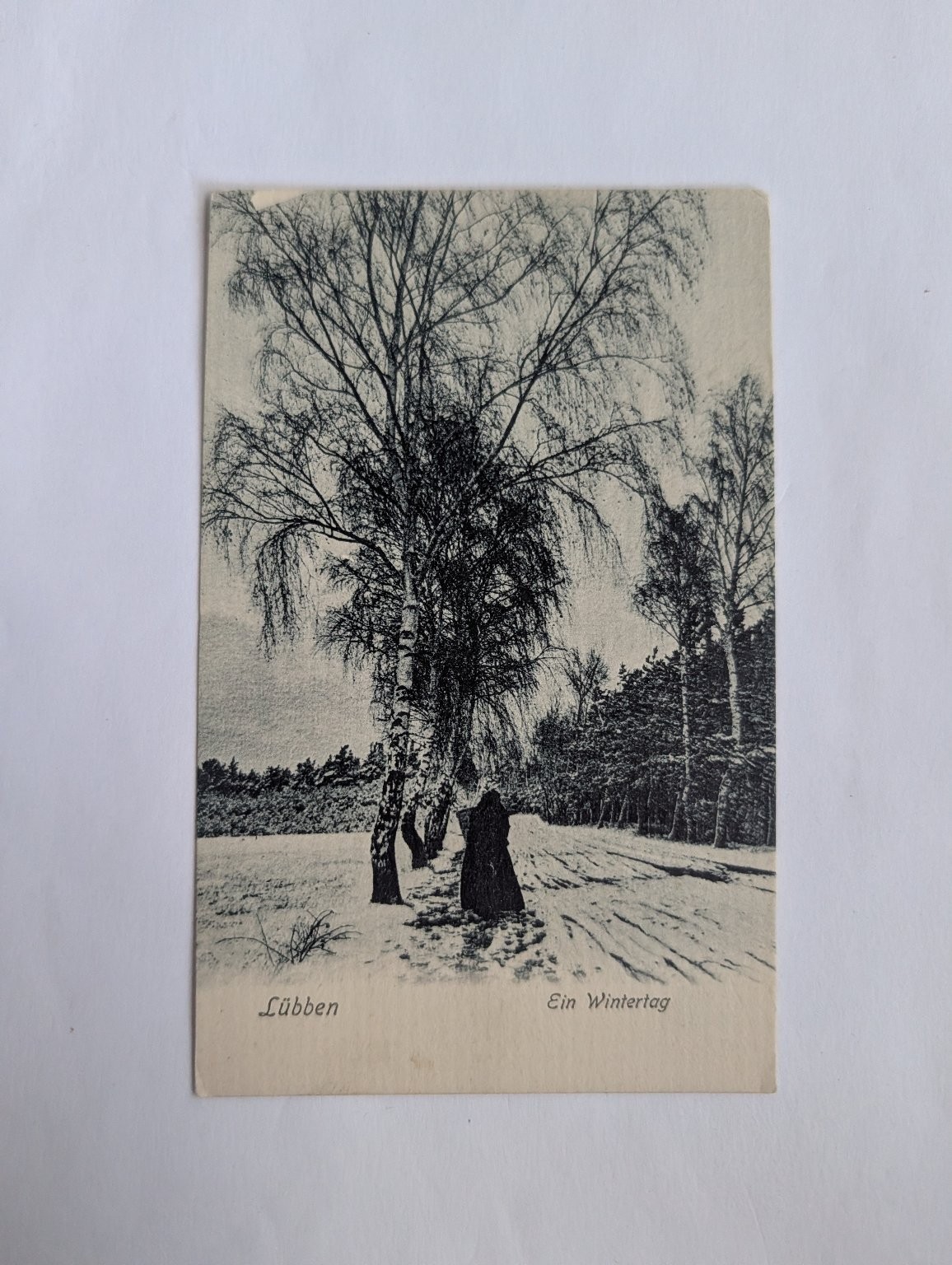 Lübben Spreewald Winter Day Birch Trees RPPC Postcard M. Brunkhorst
