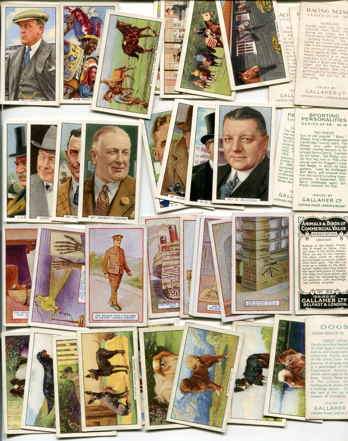 110 ALL GALLAHER LTD. CIGARETTE COMPANY ALL DIFFERENT TOBACCO CARD LOT