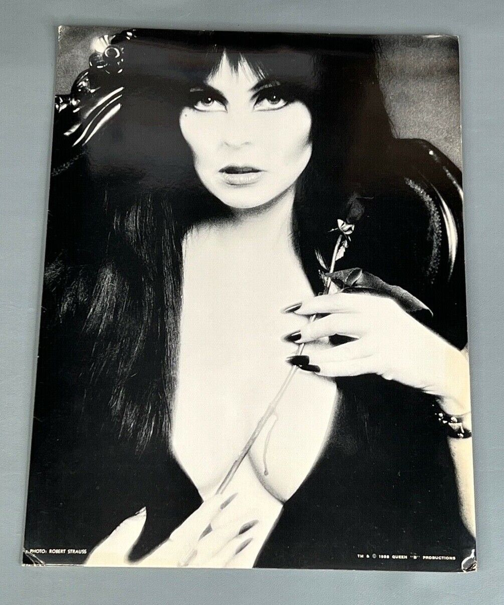 Elvira Fan Club Folder (1988) Mistress of the Dark Vintage Art Paper Holder x