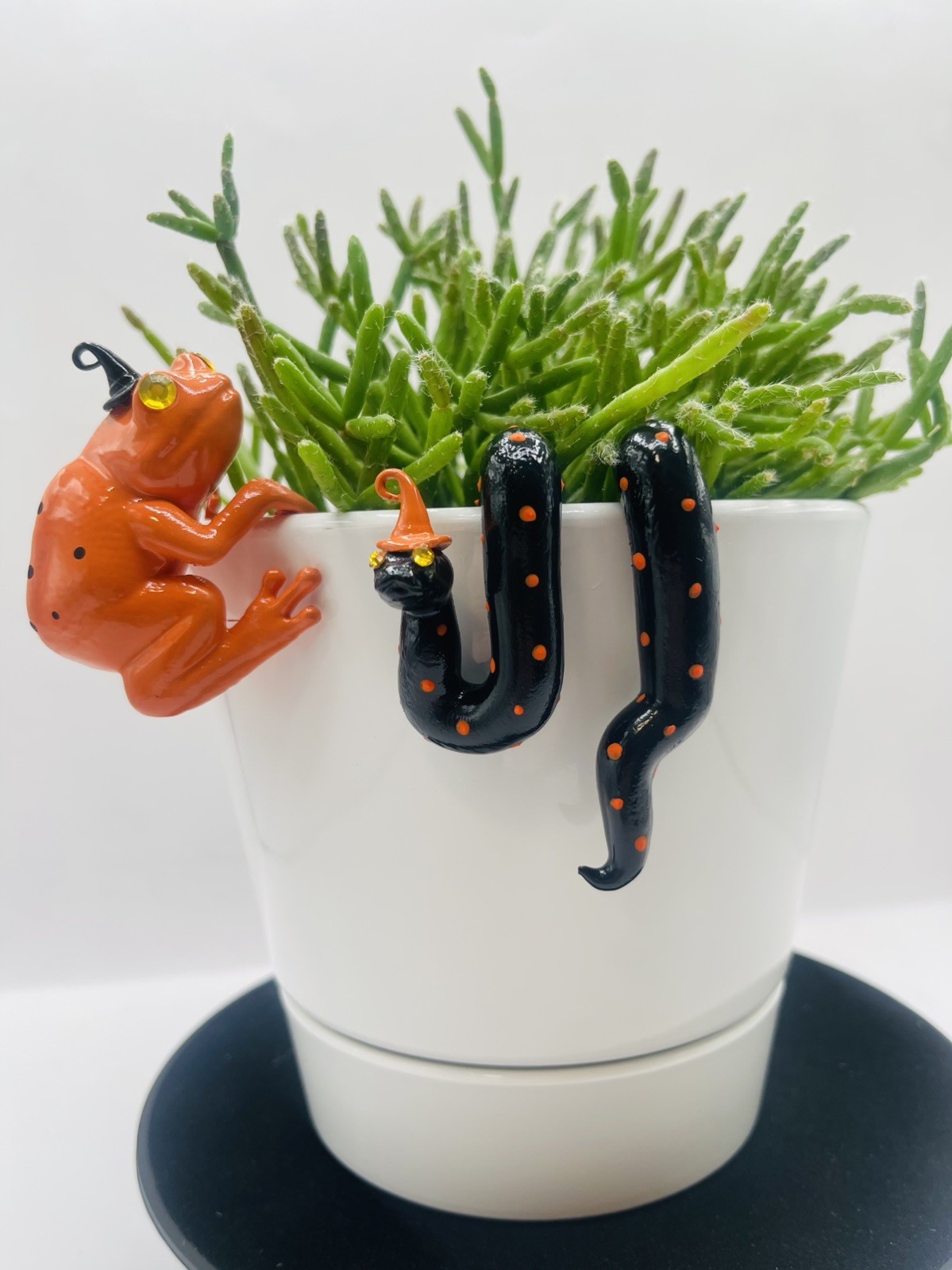 Meet “The Boo Crew” Halloween Hanging Frog and Snake Plant Decor - Pot Hugger