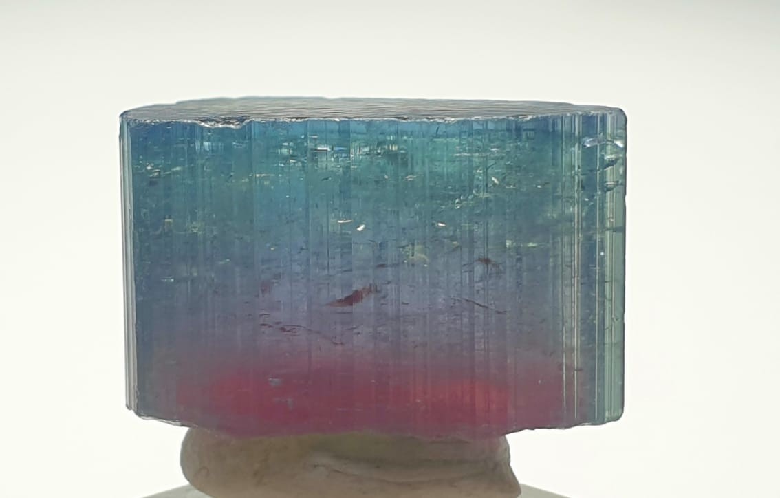 Natural  Tri Colour Tourmaline Crystal From Afghanistan 10.30 Grams  [A]