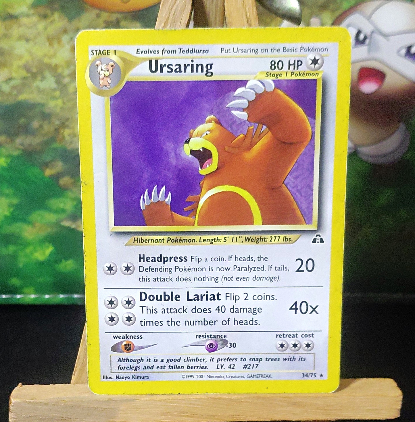 Ursaring 34/75 Neo Discovery  English Unlimited 80 HP 2001