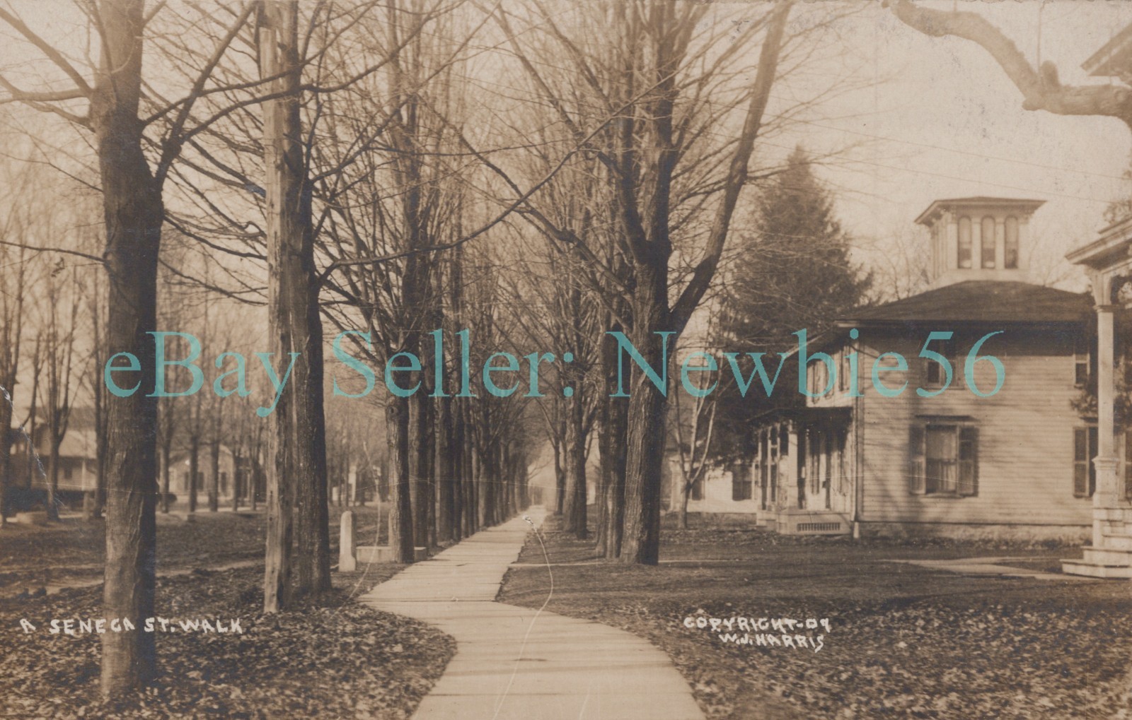 Penn Yan NY - HOUSES ON SENECA STREET - W.J. Harris RPPC Postcard