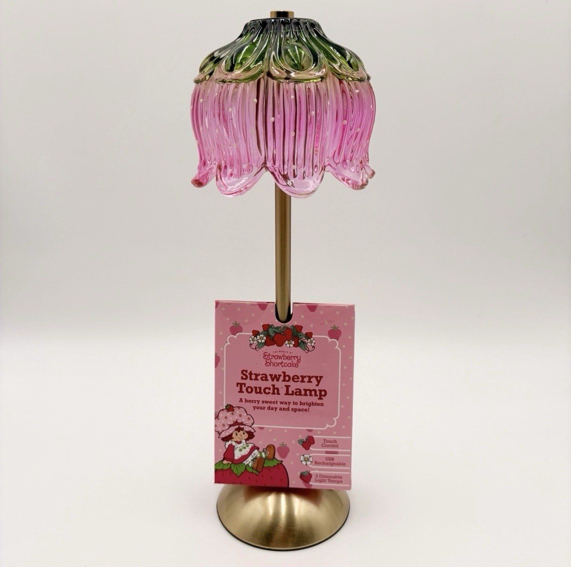 🍓NWT Strawberry Shortcake Pink Strawberry Rechargeable Touch Lamp HTF