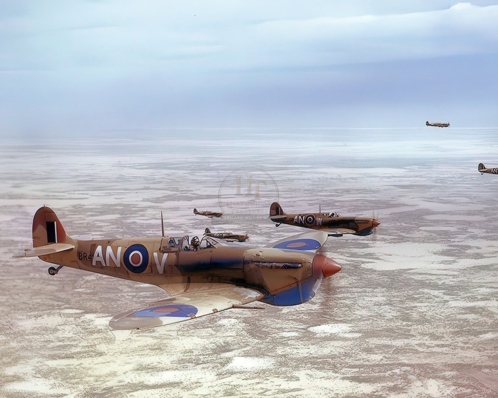 Loose Formation of Supermarine Spitfires 8x10 Glossy Photo Print HT4136834