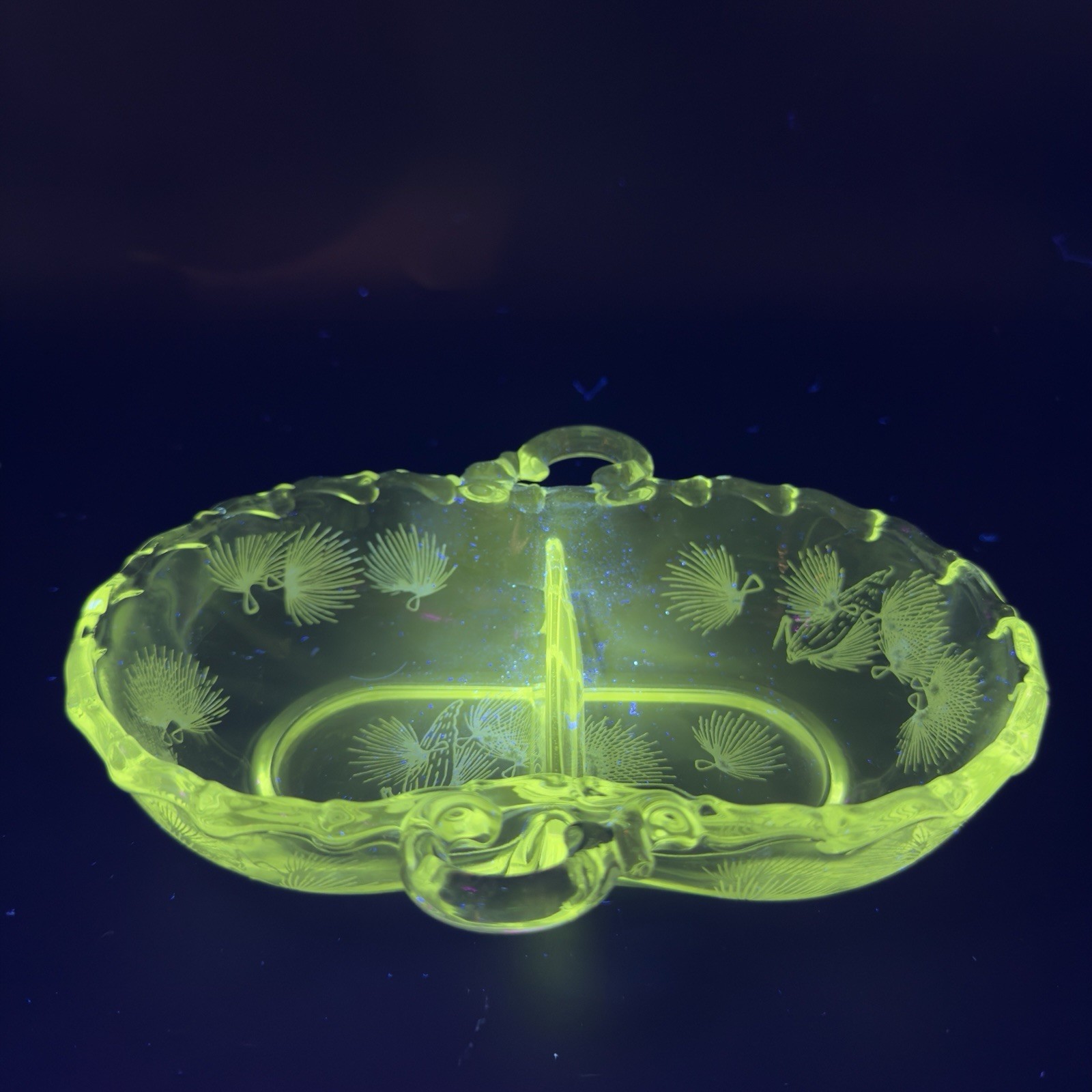 Fostoria Etched Glass Two Part Relish Tray Appetizer Dish Manganese 365nm UV Fostoria Etched Glass Two Part Relish Tray Appetizer Dish Manganese 365nm UV