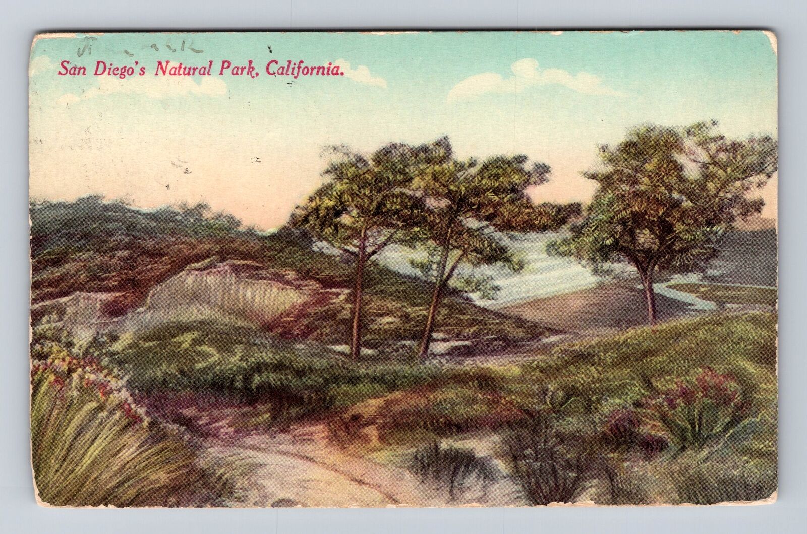 San Diego CA-California, San Diego Natural Park, Antique Vintage Postcard