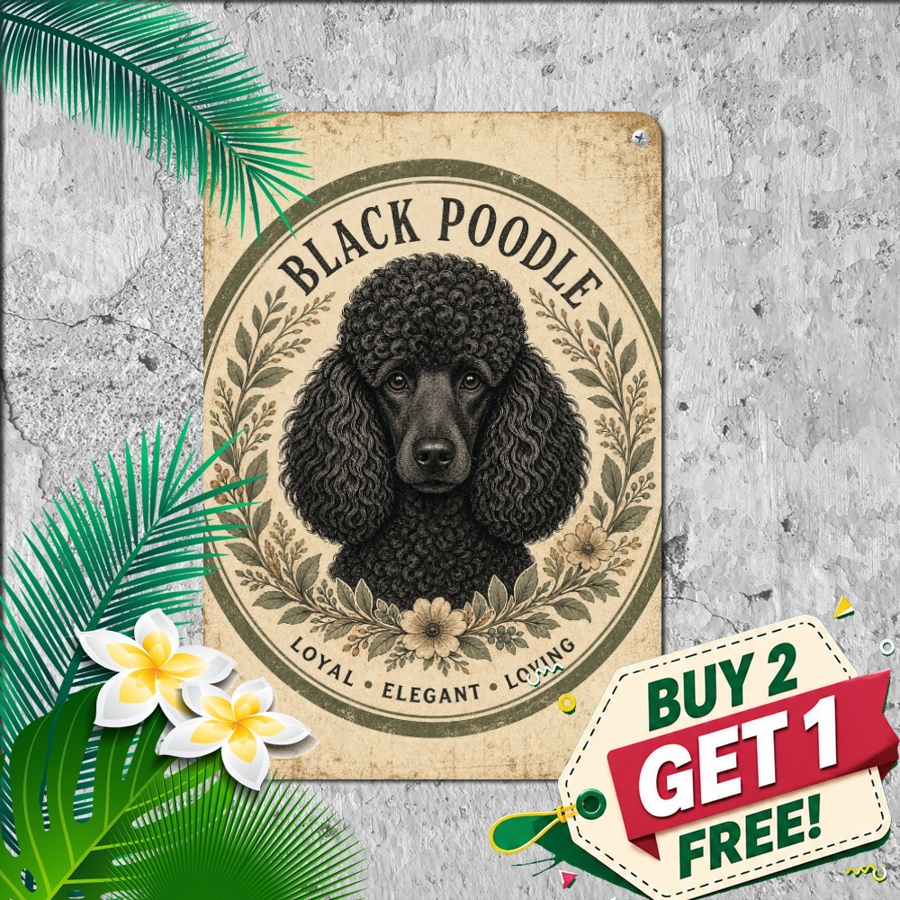 Elegant Poodle Black And Golden Breed Dog Portrait Metal Tin Wall Sign