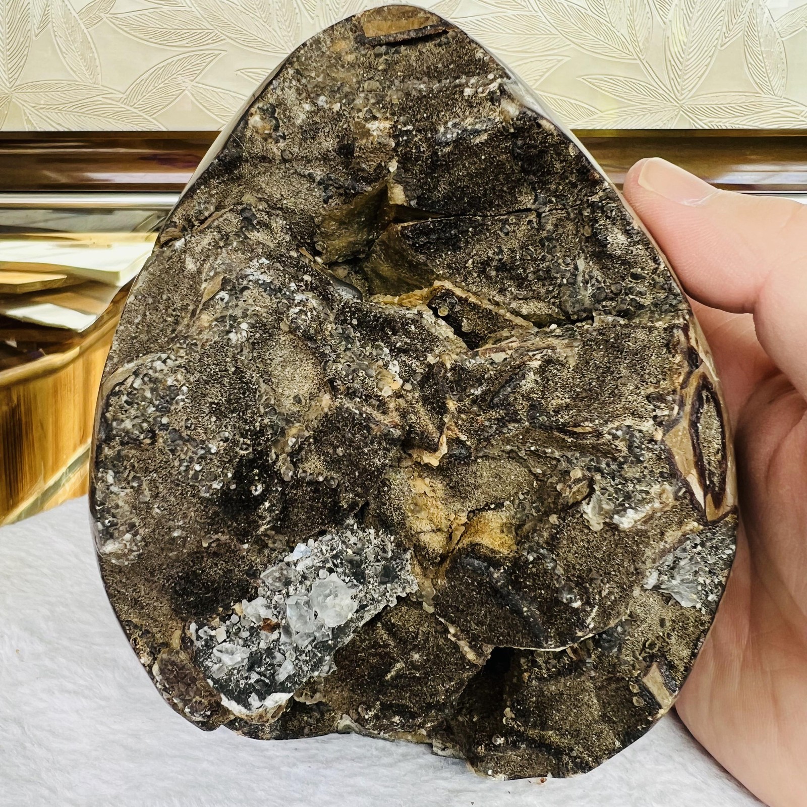 5.7LB Natural Turtle Back Stone Egg Shape Dragon Crystal Crack healing