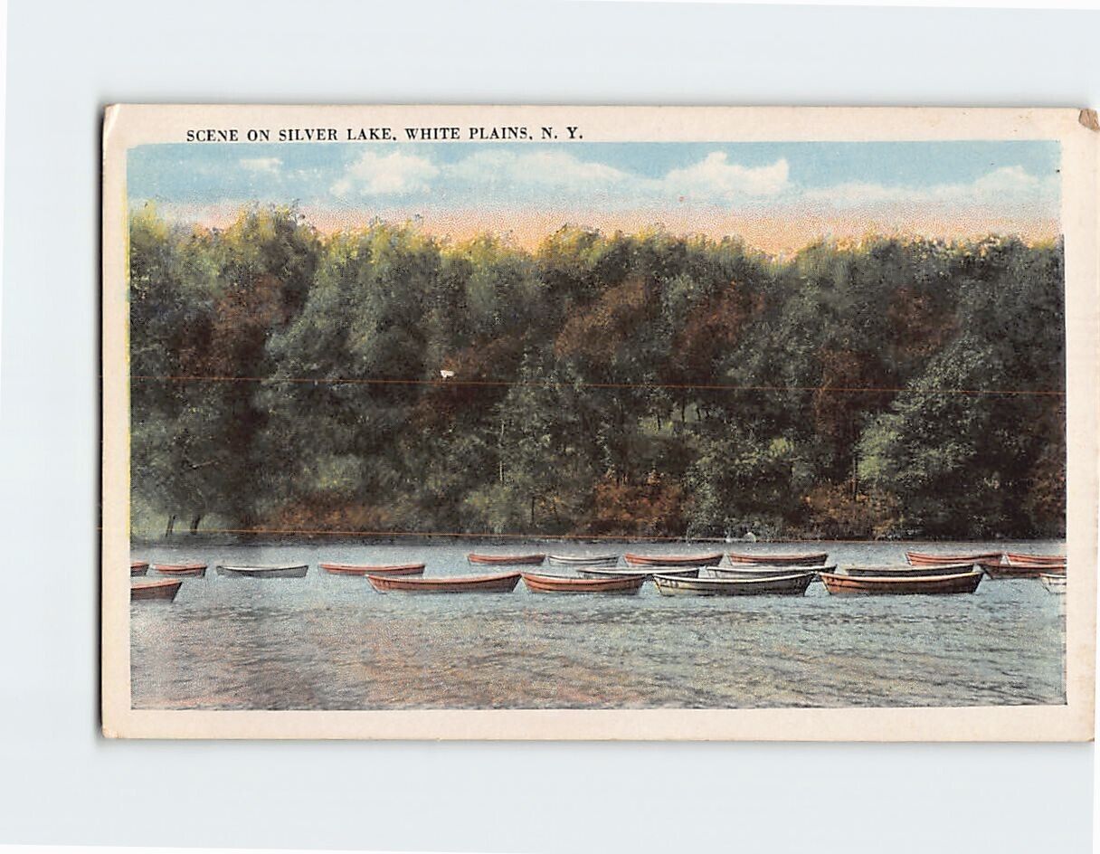 Postcard Scene On Silver Lake, White Plains, New York
