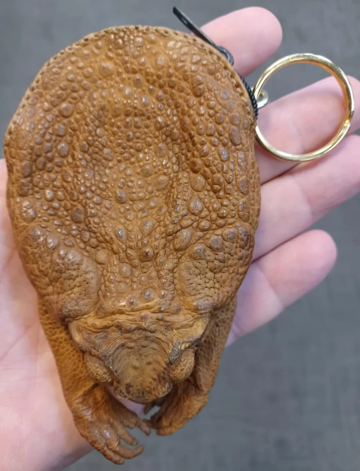 Large Handmade Sugar Cane Toad Coin Purse Keychain - Real Toad Leather Large Handmade Sugar Cane Toad Coin Purse Keychain - Real Toad Leather