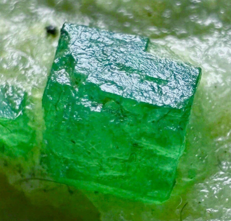 Renowned Raw Bright Green Colombian Emerald Crystal Cluster Matrix Specimen
