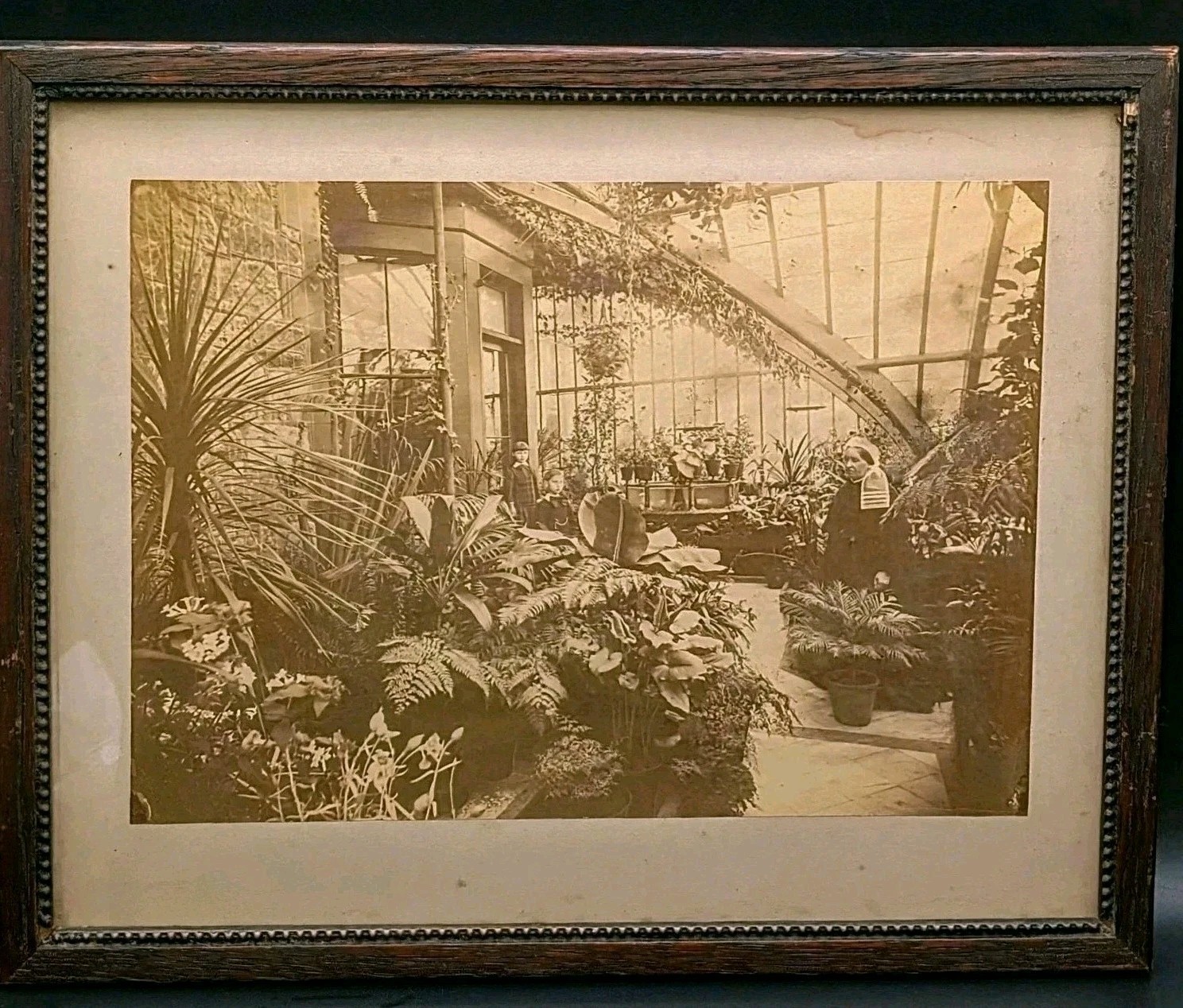 1890s Victorian Estate Conservatory Photo Botanical Carved Wood Frame Antique