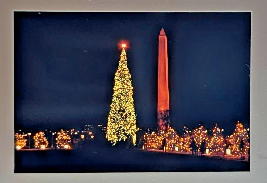 Vintage 1968 Wash DC Christmas Tree 35mm Slide, Beautiful Color