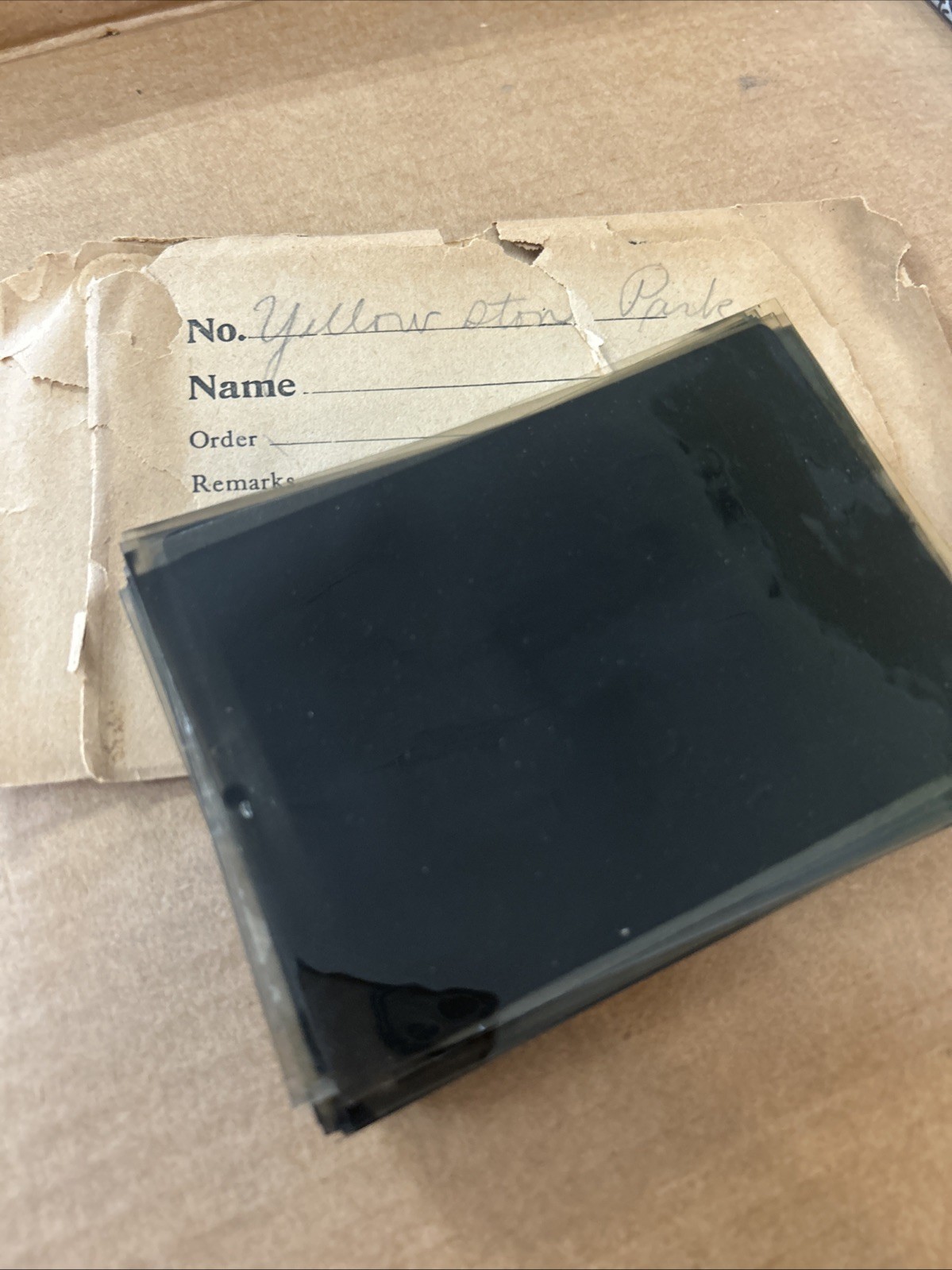 Antique Lot of Early 1900’s Yellow Stone Park  Cellulose Negatives Approx 44