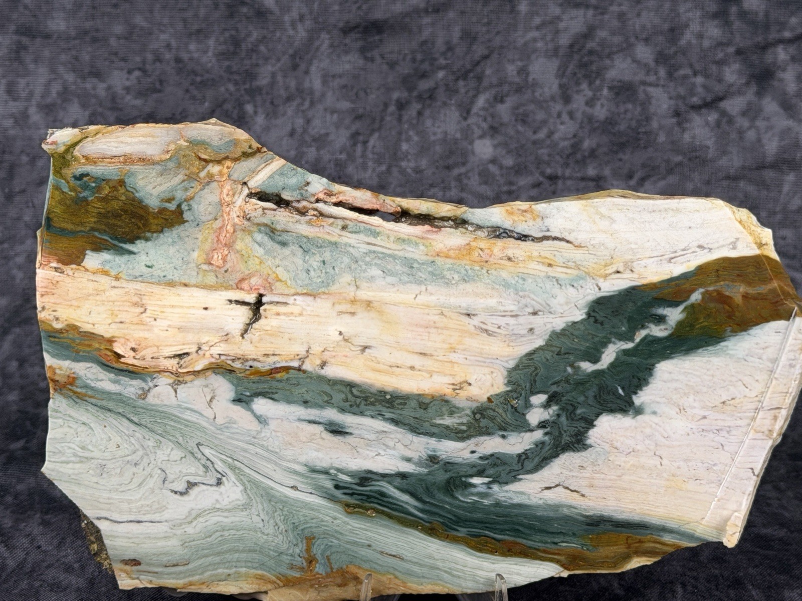 Beautiful Larsonite(Gary Green, Freedom) Jasper Bogwood Slab, lot#1011