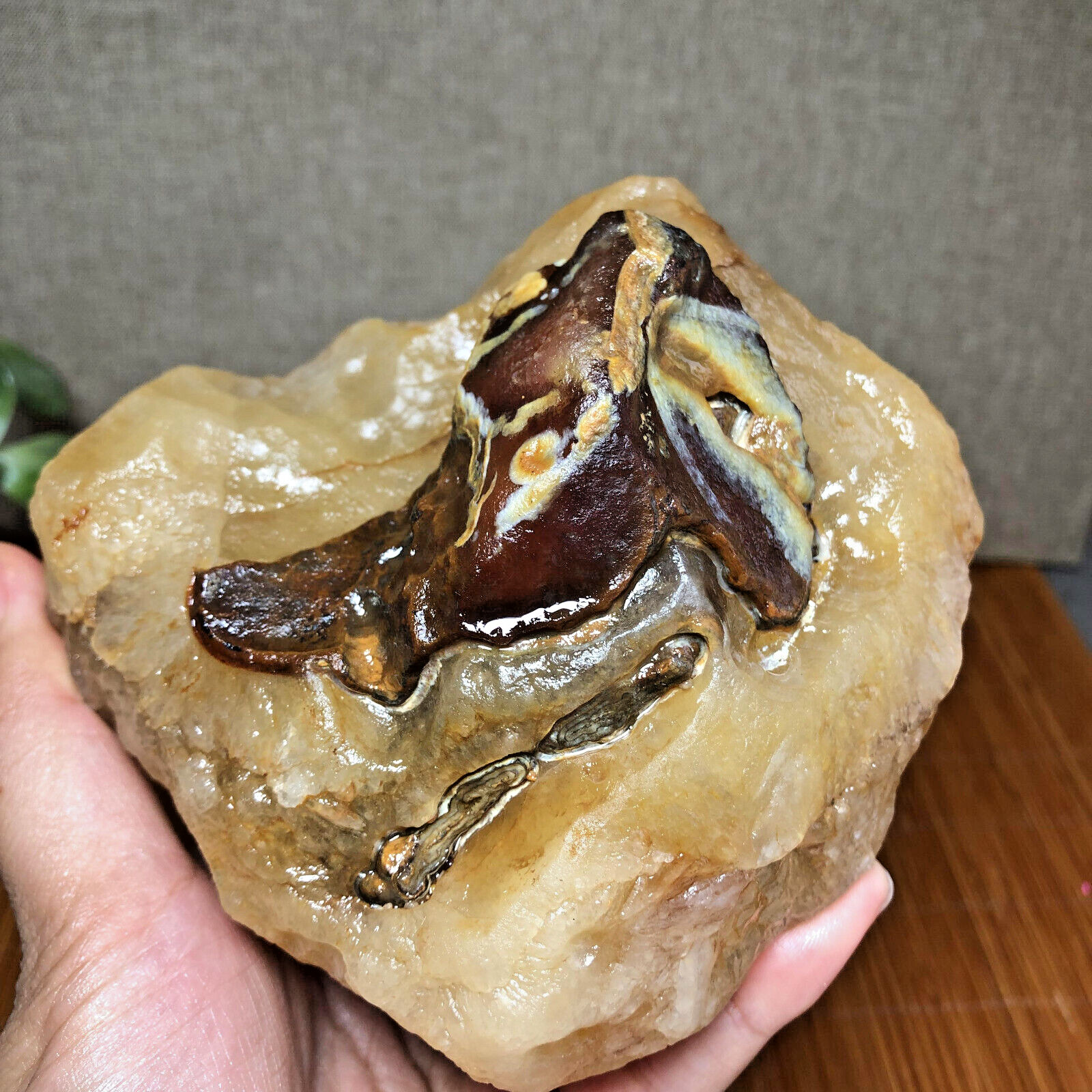 863g natural Bonsai Suiseki Gobi Agate Eyes Stone-Stunning original View A2578