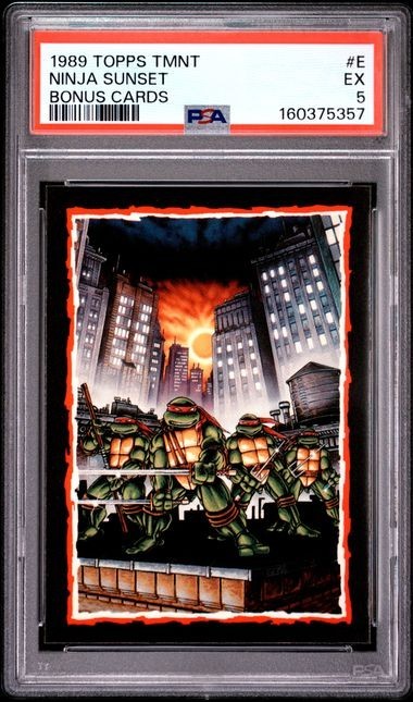 1989 Topps TMNT #E Ninja Sunset : Collector's Edition Bonus Cards PSA 5