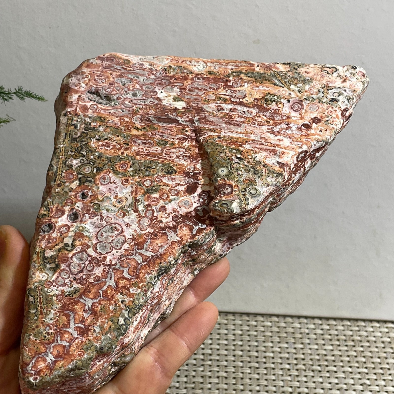 TOP Rare Natural Leopard stone polished Crystal Quartz Tumbled gift 701g h559