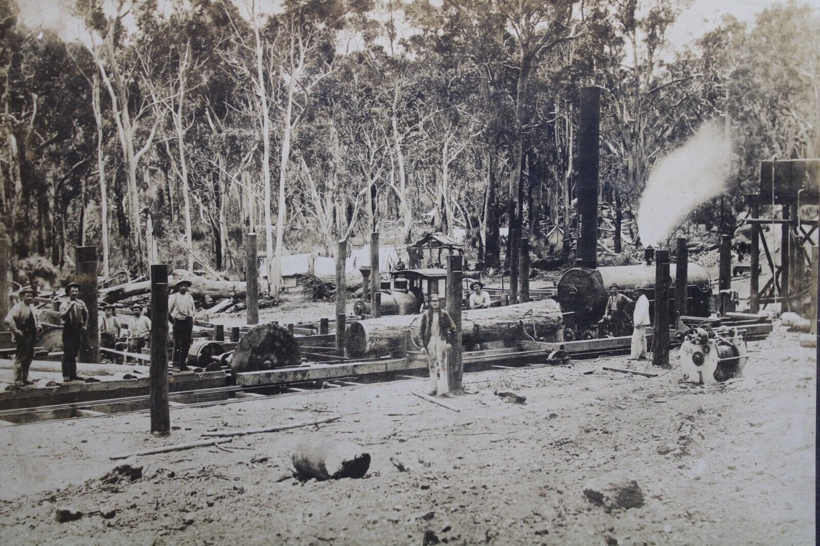 Large Mounted Logging Photo Occupational Sawmill Crew Men Engine Australia C25