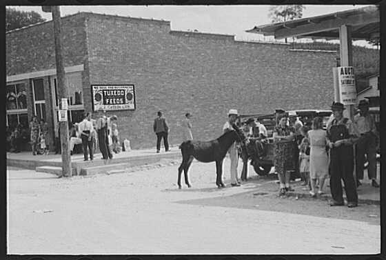 Campton,Wolfe County,Kentucky,KY,Farm Security Administration,1940,FSA,21